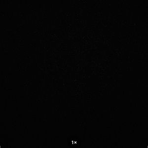 Meet your Posher, Jesse